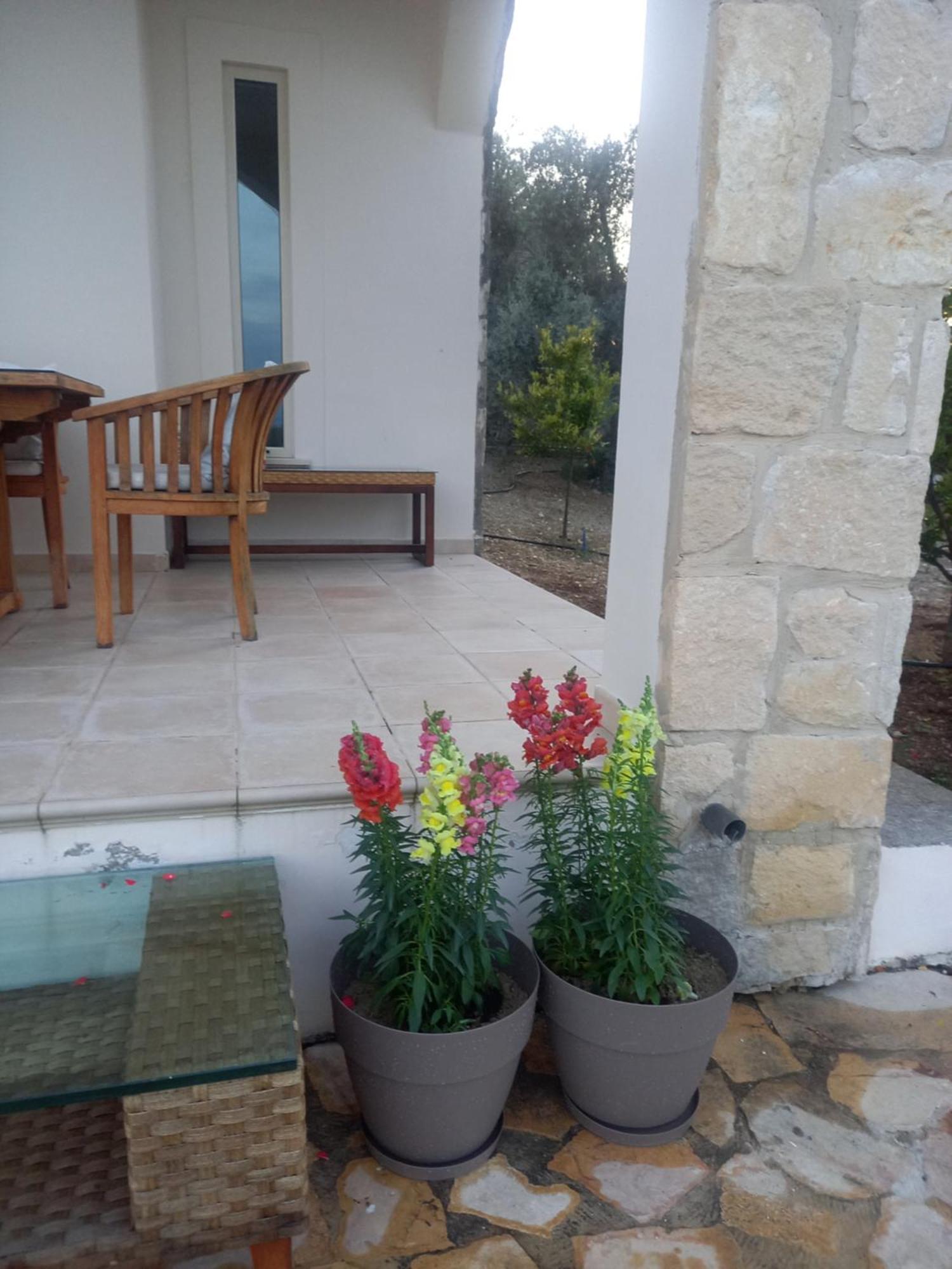 Villa Koumneni Pano Akourdalia Bagian luar foto