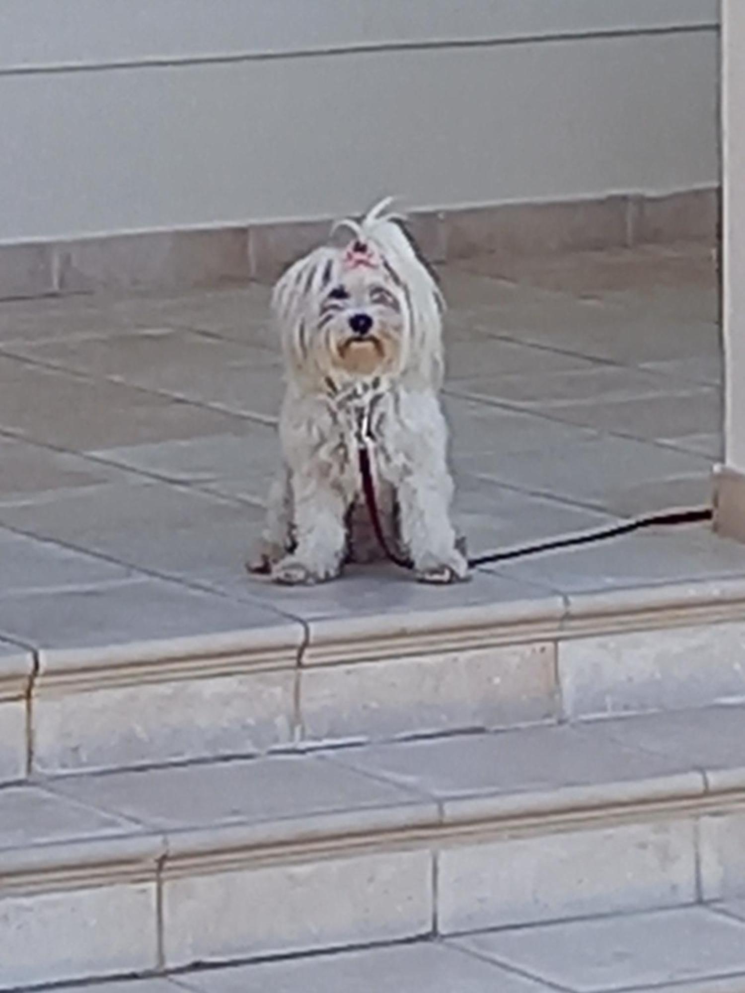 Villa Koumneni Pano Akourdalia Bagian luar foto