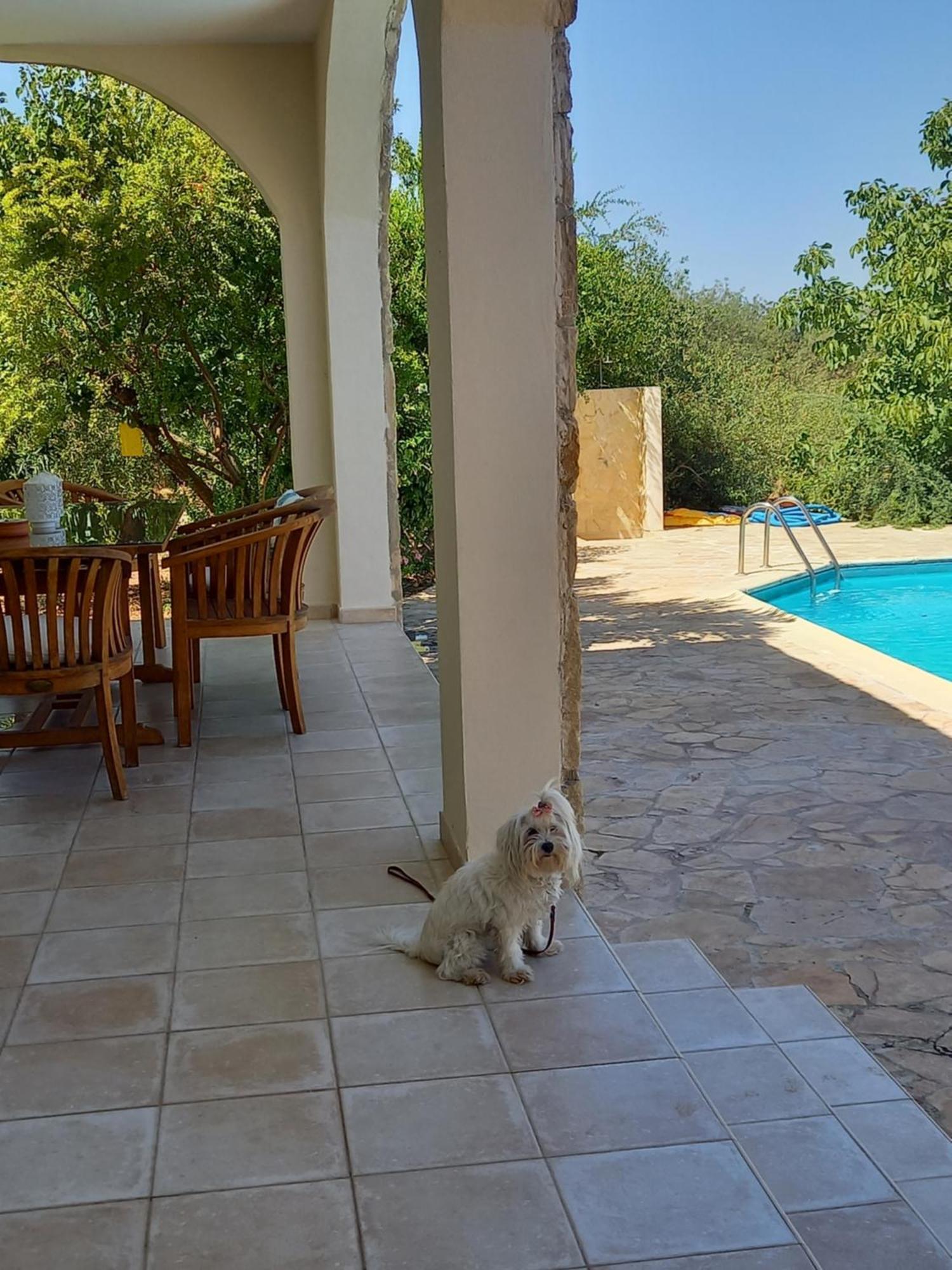 Villa Koumneni Pano Akourdalia Bagian luar foto