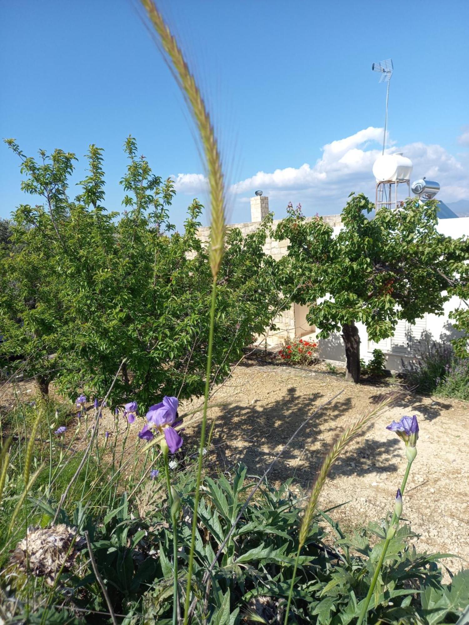 Villa Koumneni Pano Akourdalia Bagian luar foto