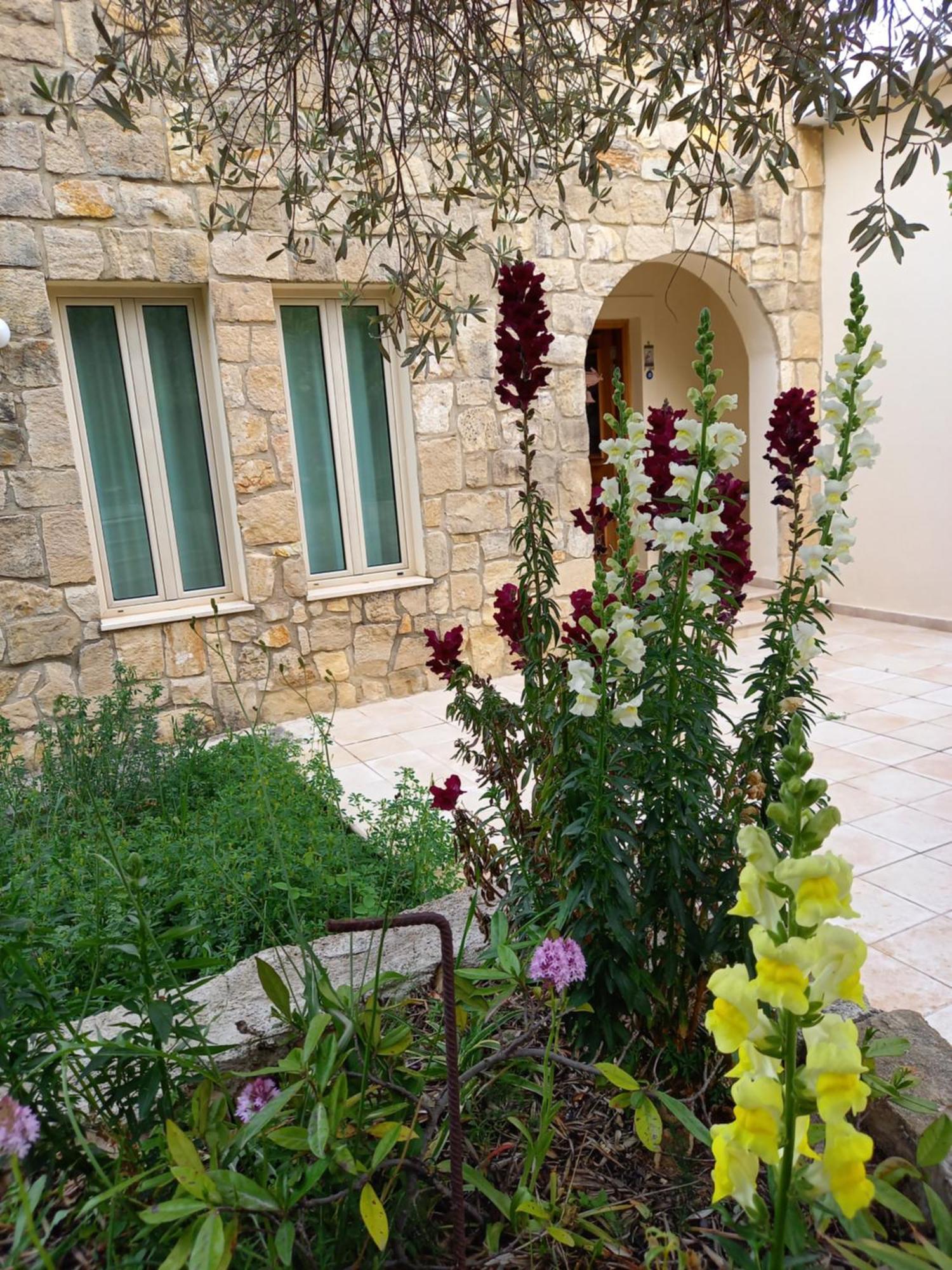 Villa Koumneni Pano Akourdalia Bagian luar foto