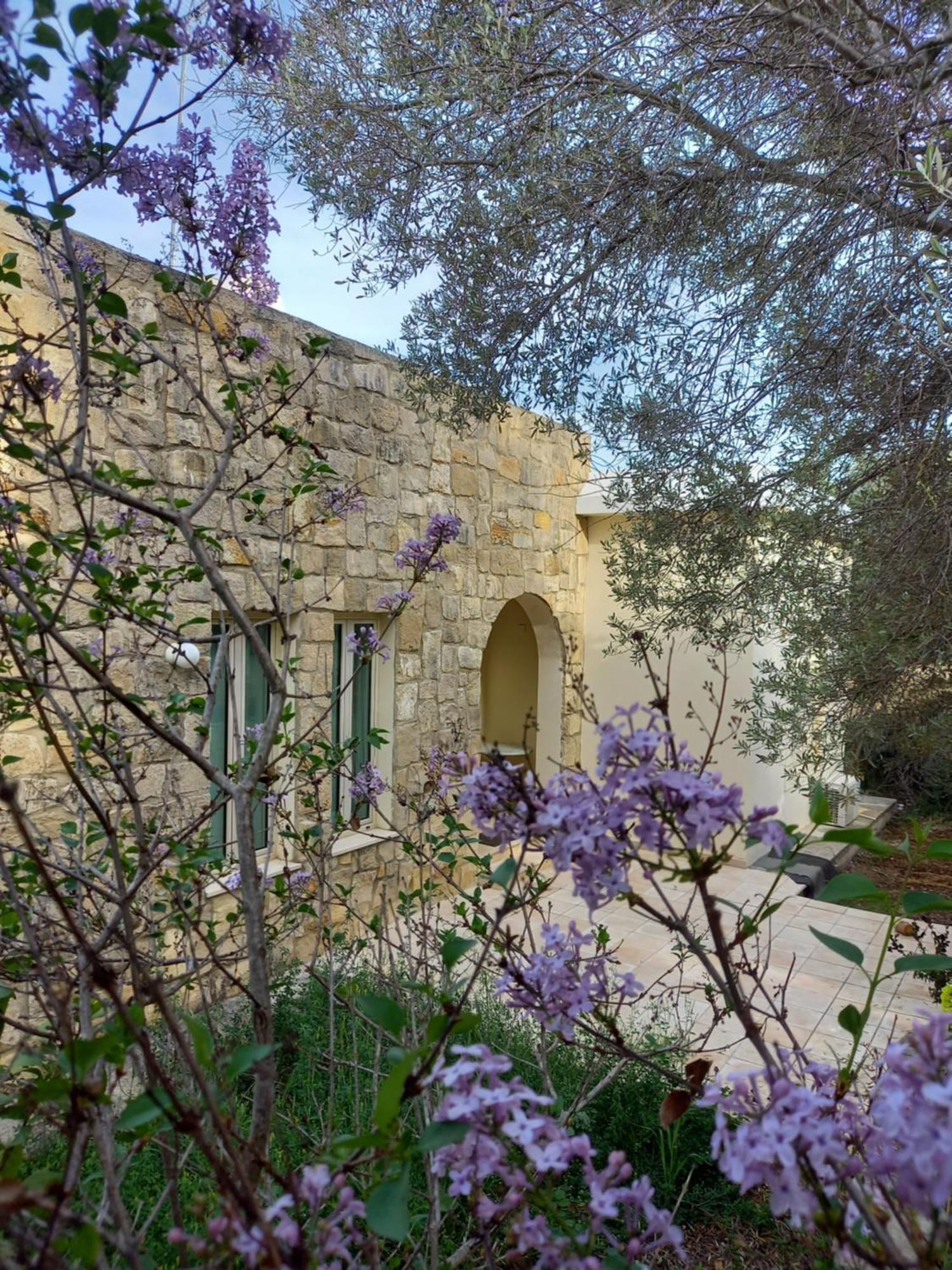 Villa Koumneni Pano Akourdalia Bagian luar foto