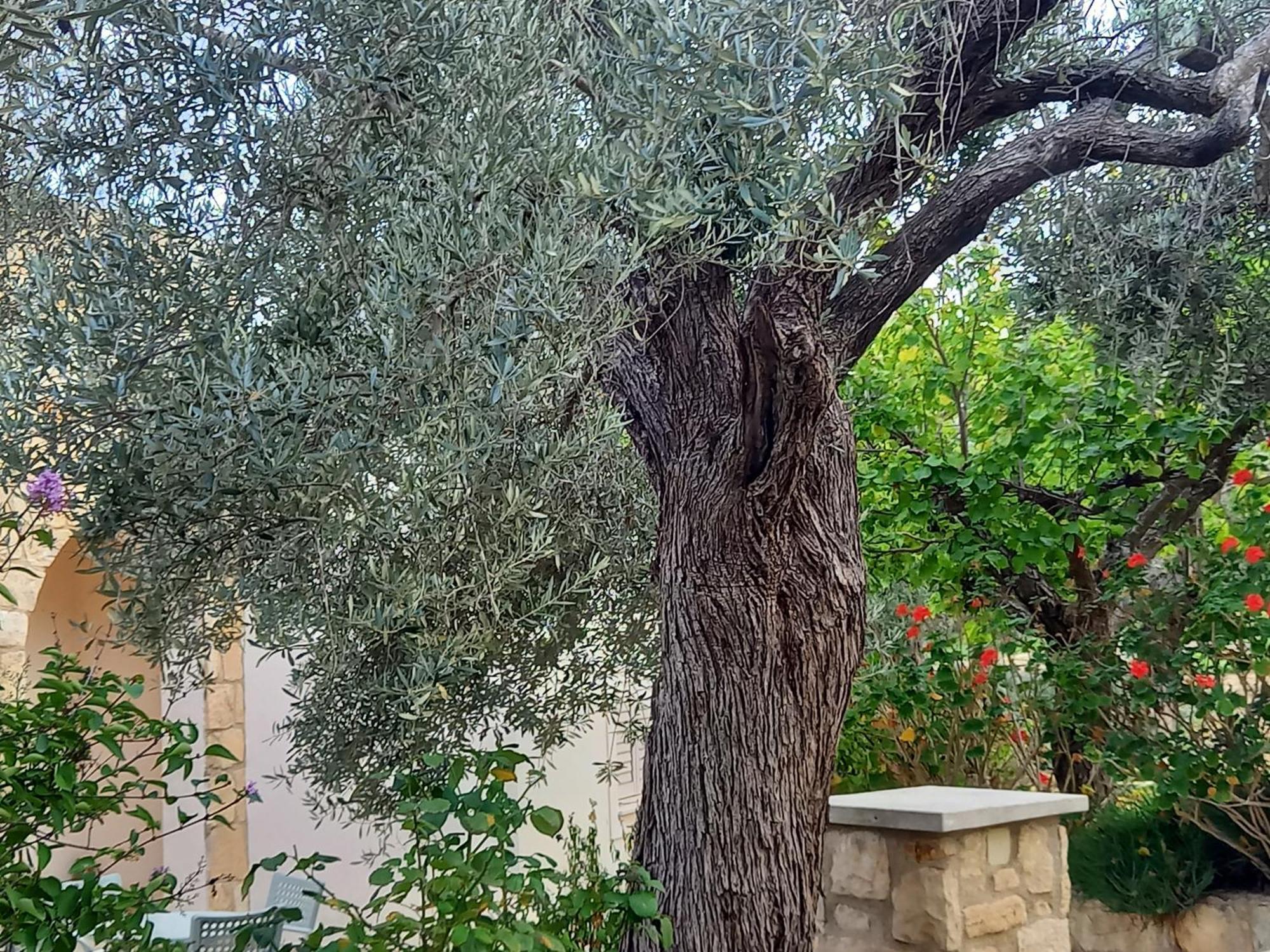 Villa Koumneni Pano Akourdalia Bagian luar foto
