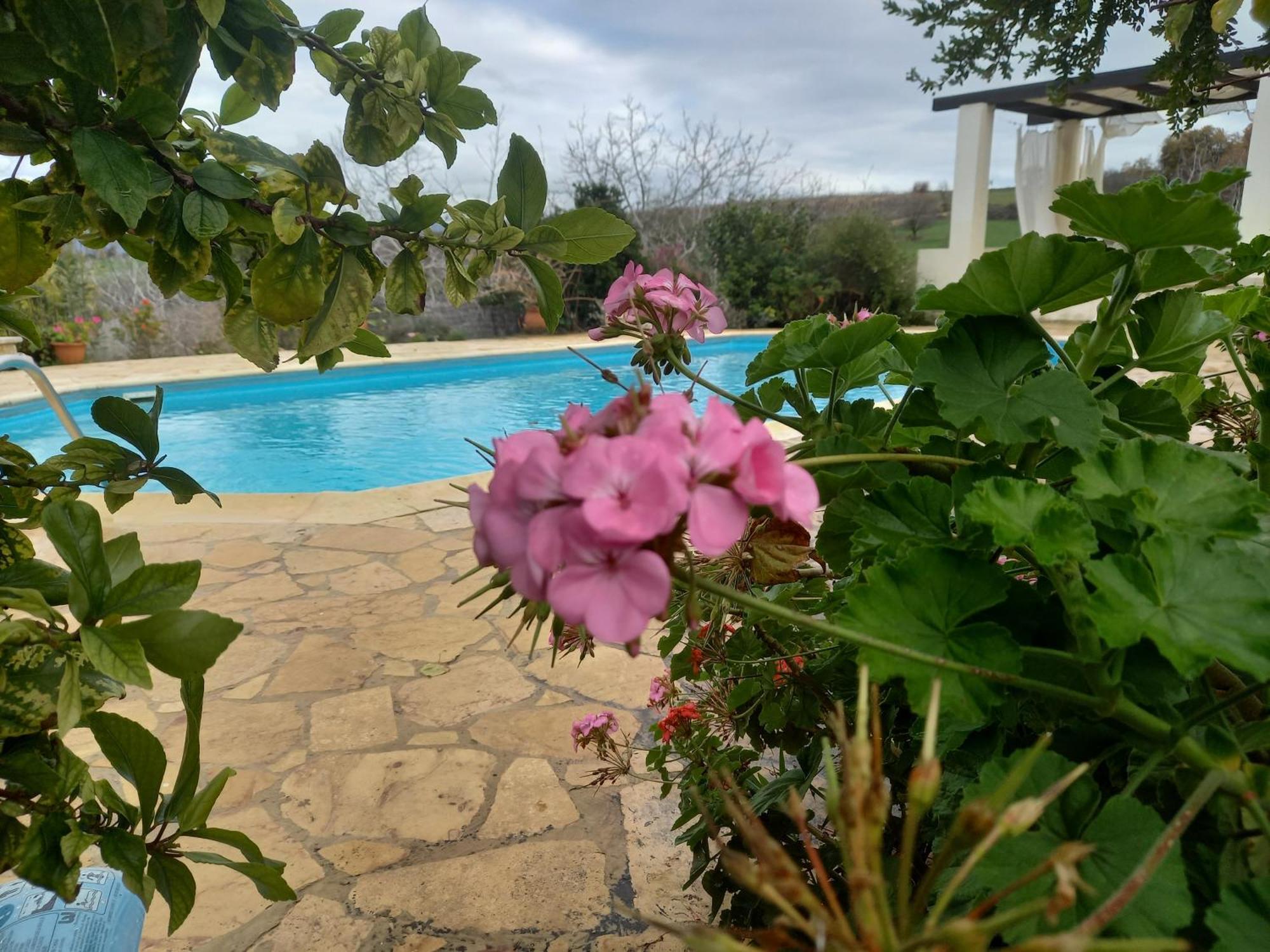 Villa Koumneni Pano Akourdalia Bagian luar foto